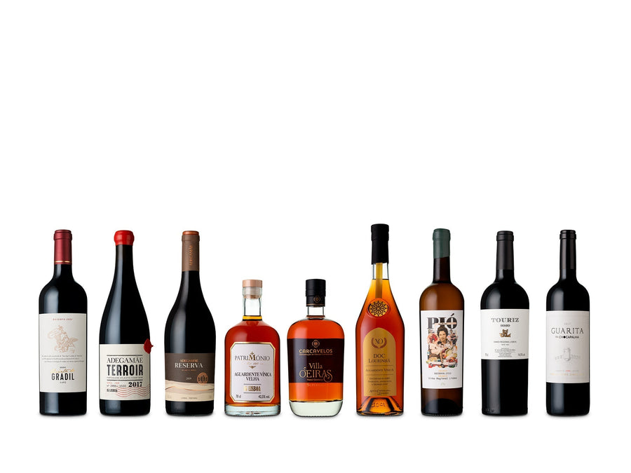 Concurso Vinhos de Lisboa: edição de 2026 distingue os melhores da Região e atribui 44 medalhas