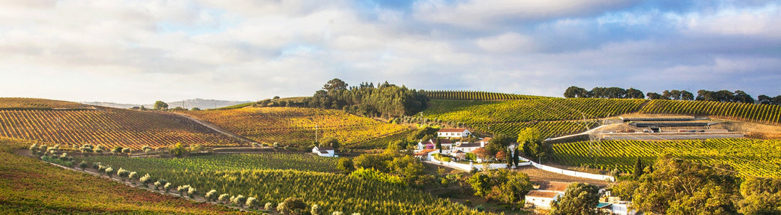 Quinta da Chocapalha