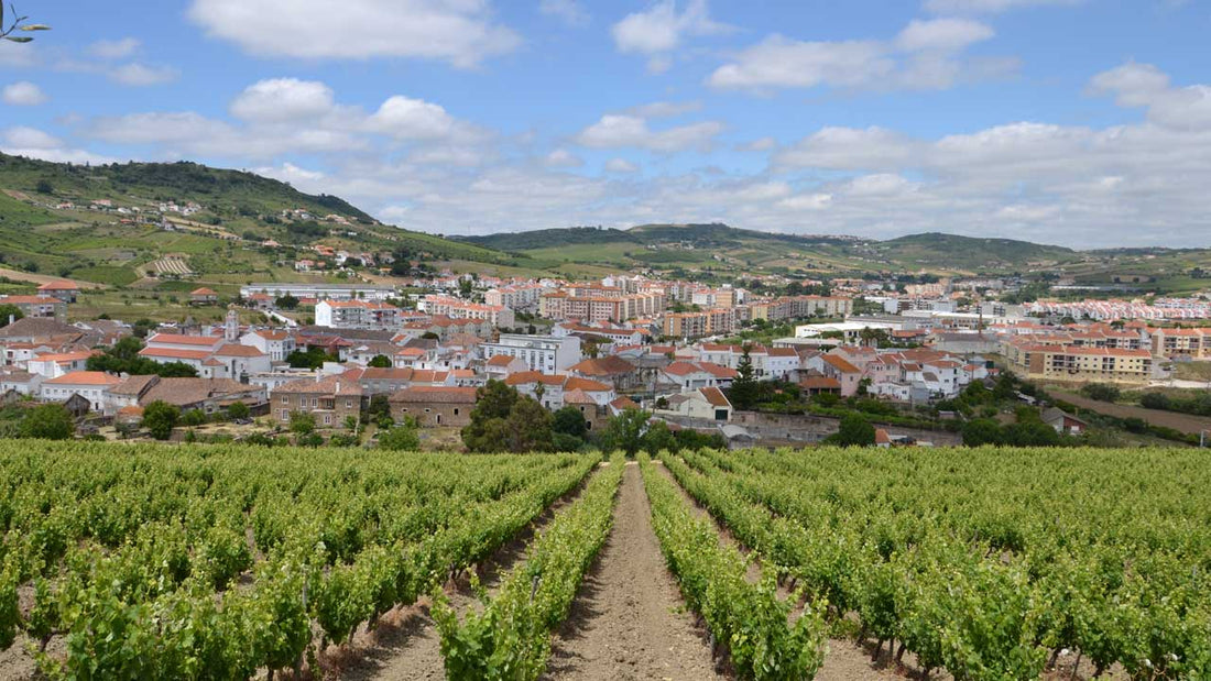 Adega de Arruda dos Vinhos