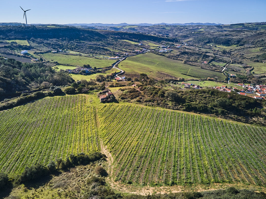 Monte Bluna
