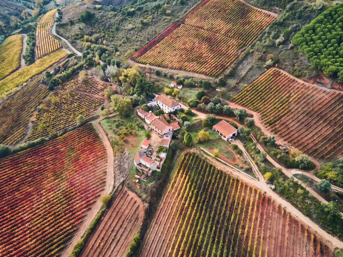 Quinta do Vale Mourisco
