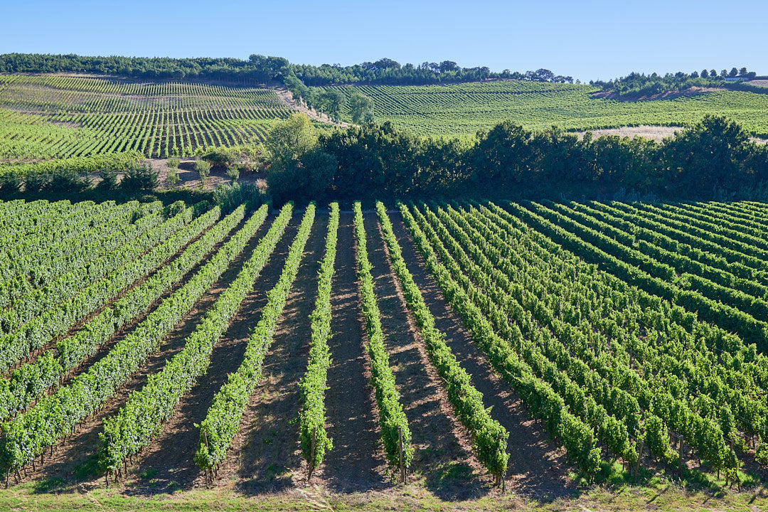 Quinta do Monte d'Oiro