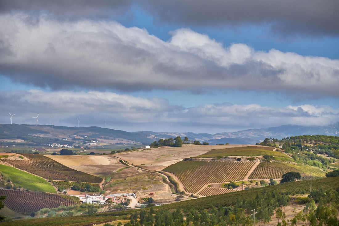 Quinta da Folgorosa