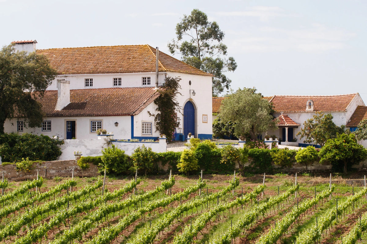 Óbidos