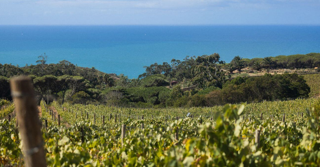 Quinta Vale da Roca