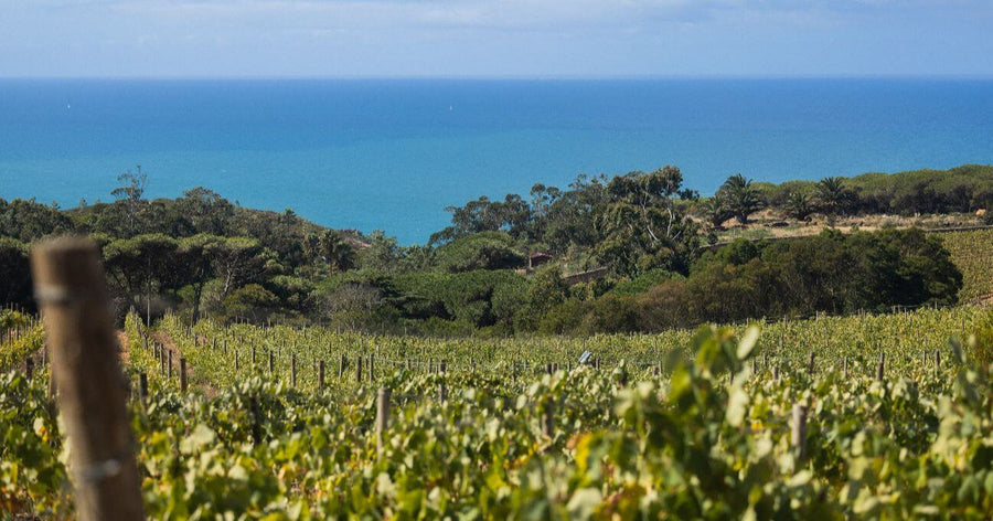 Quinta Vale da Roca