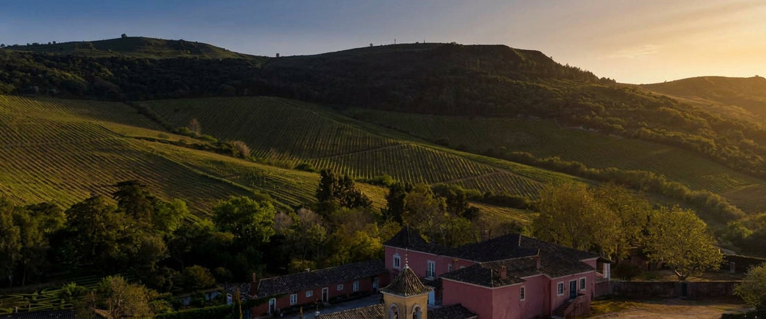 Quinta da Romeira