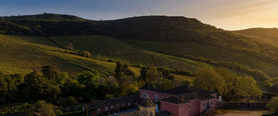 Quinta da Romeira