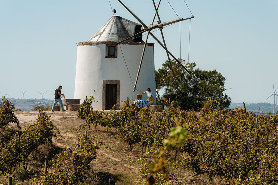 Região de Lisboa — IG Lisboa