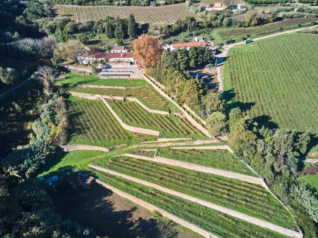 Quinta de São Bartolomeu