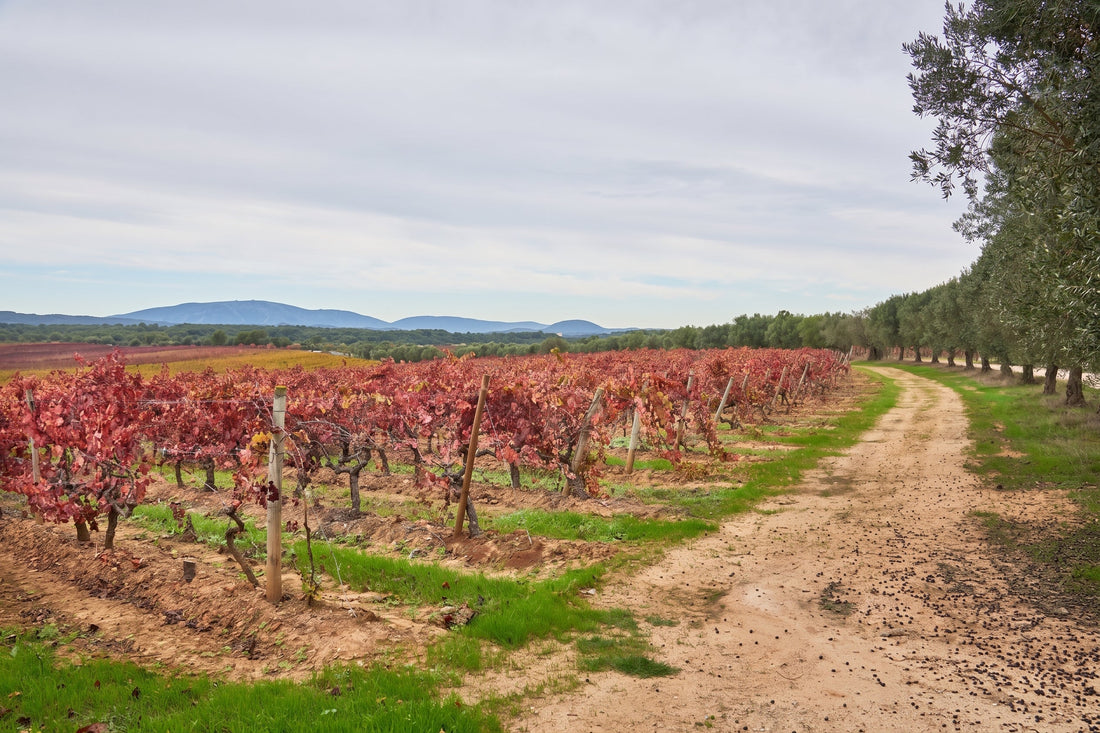 Quinta do Carneiro