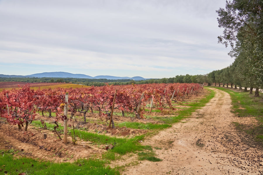 Quinta do Carneiro