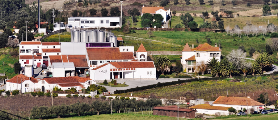 Vidigal Wines