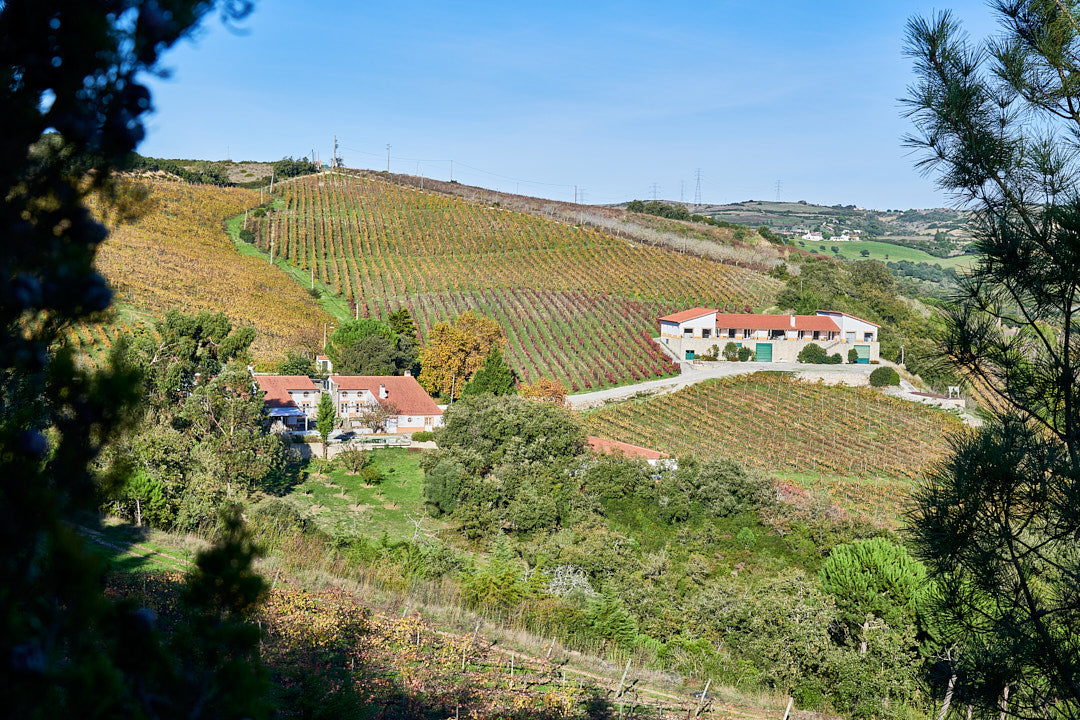 Quinta da Murta