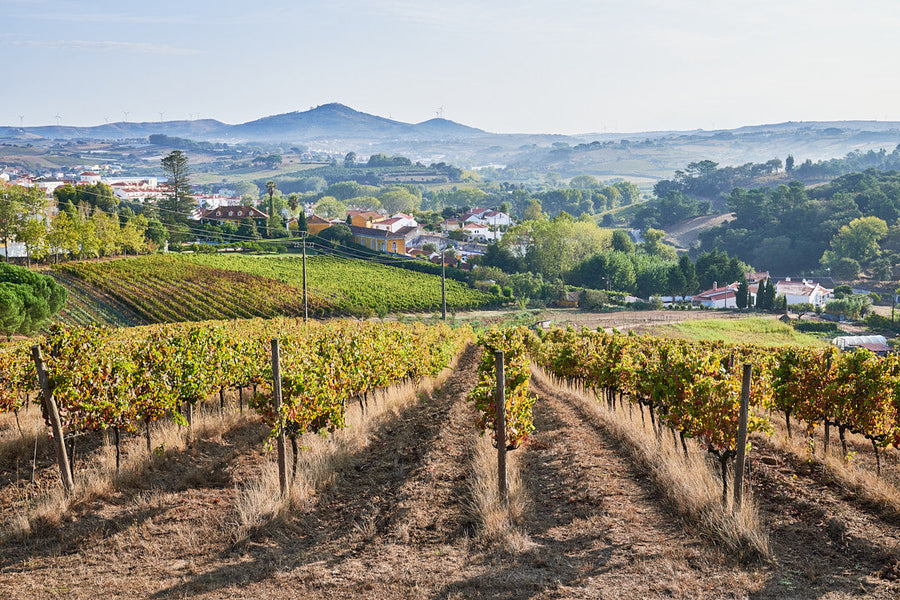 Quinta de Sant'Ana