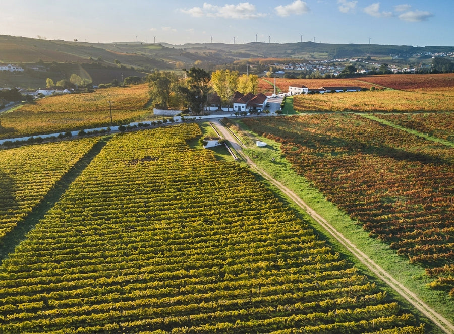 Quinta do Pinto