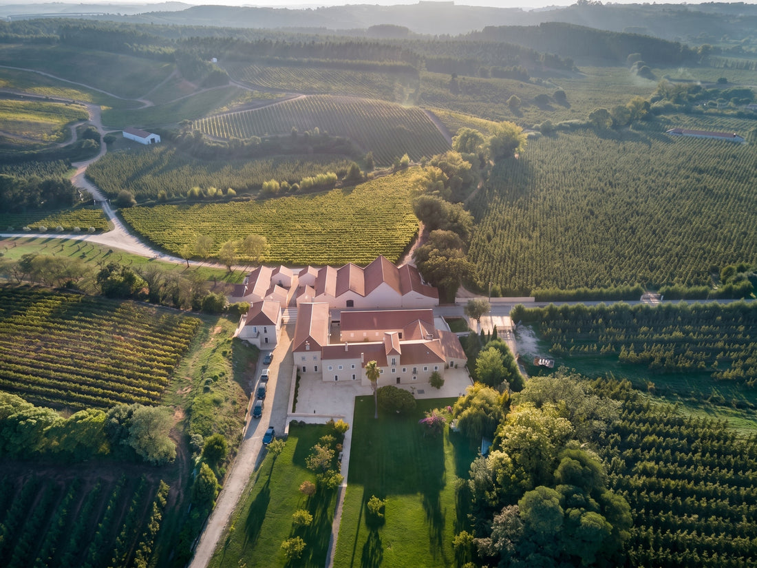 Casa Romana Vini