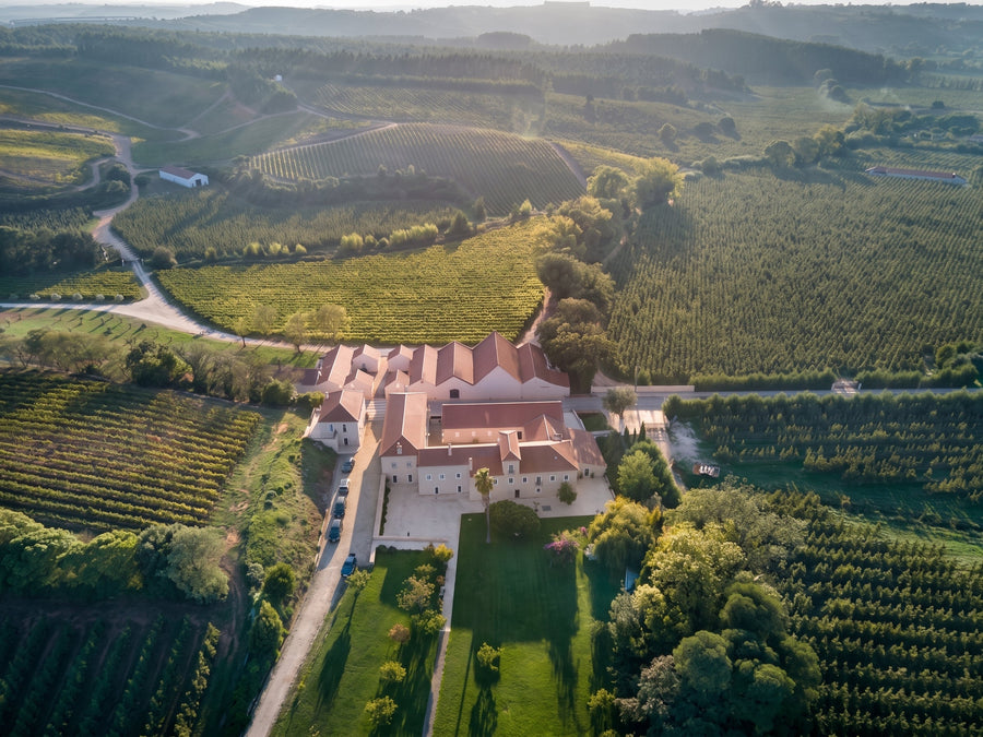 Casa Romana Vini