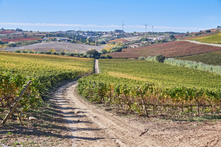 Quinta do Conde