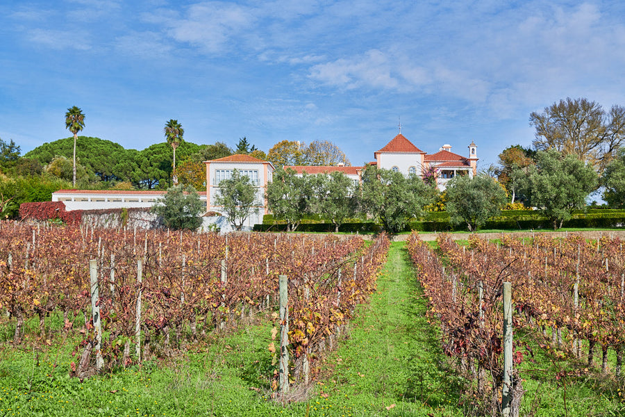 Quinta do Avelar