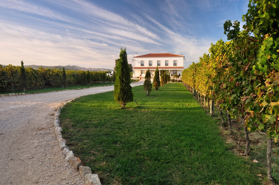 Quinta do Lagar Novo