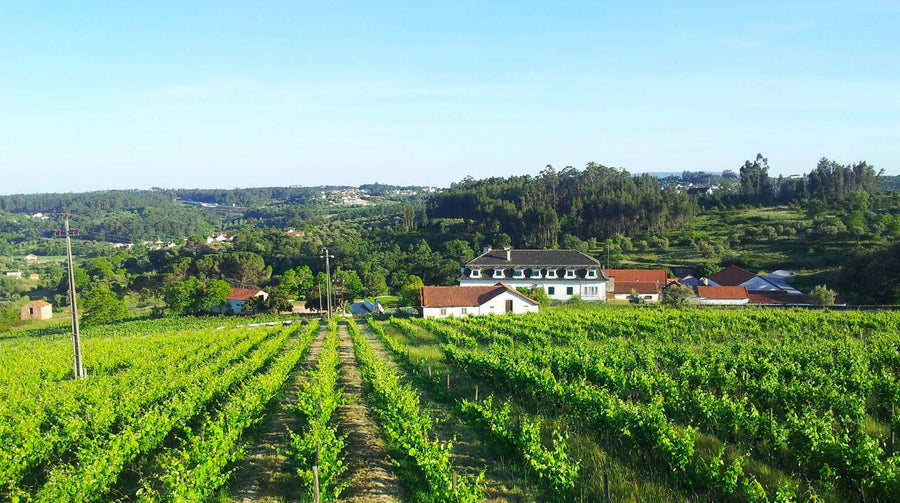 Quinta do Montalto