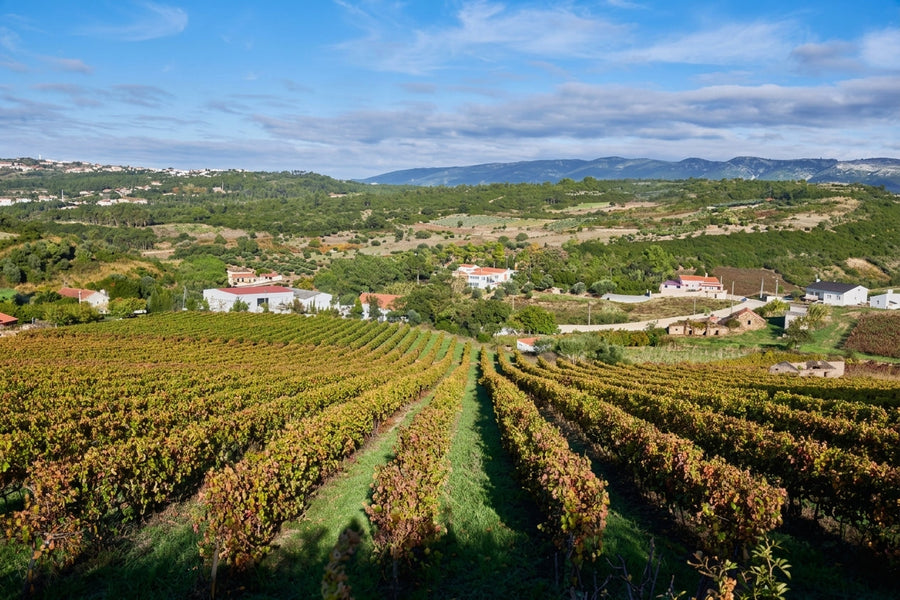 Quinta dos Capuchos